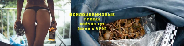 марки lsd Новозыбков