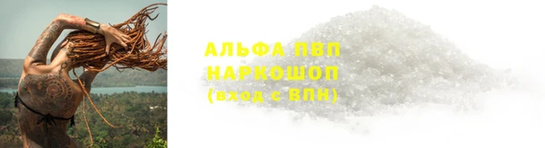 2c-b Новодвинск