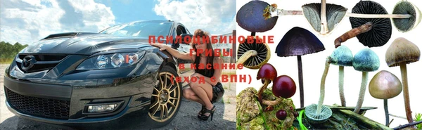 наркотики Новокубанск