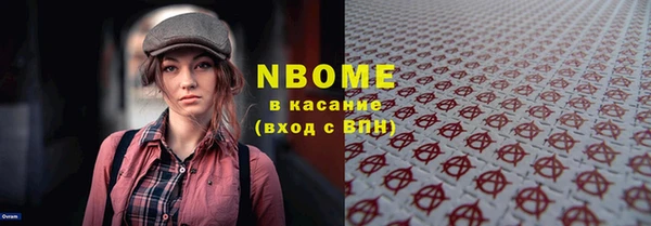 гидра Аша