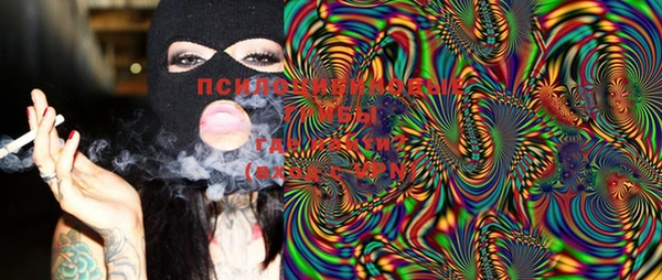 марки lsd Новозыбков
