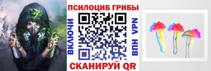 Галлюциногенные грибы Psilocybe  Шимановск 